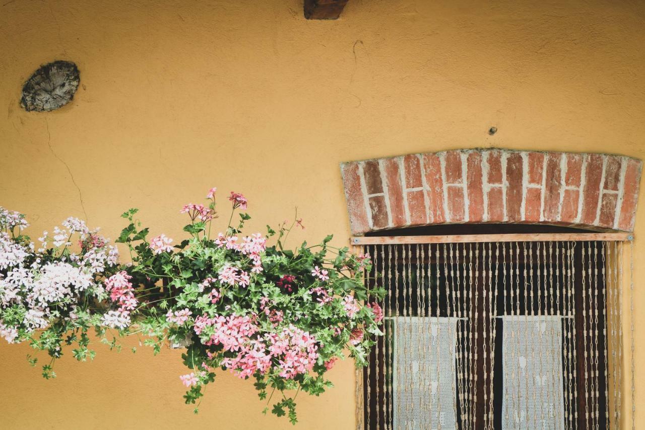 Agriturismo Fiori Di Zucca Fossano Eksteriør billede